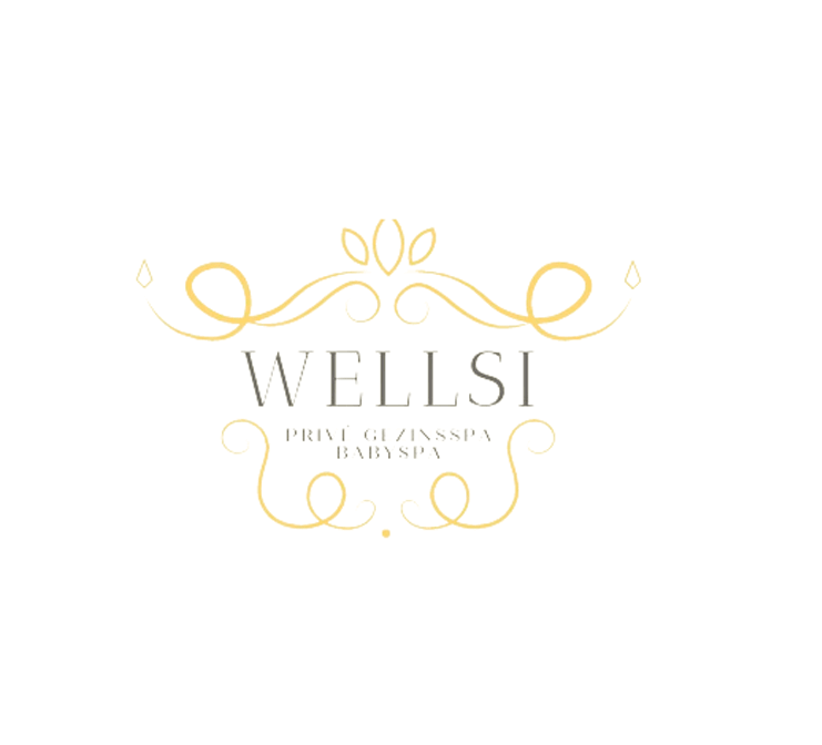 Wellsi Logo - Beyeza 